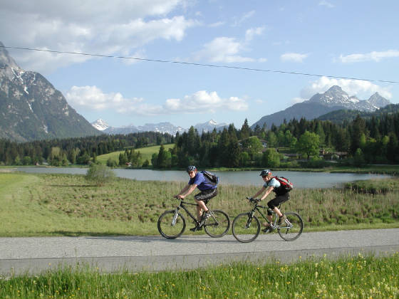 schmalensee.jpg